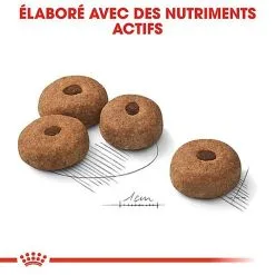 Royal Canin - Croquettes Maxi Sterilised Pour Chien Adulte Stérilisé - 3Kg -Nourriture pour chien Soldes 68023