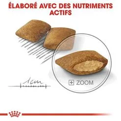 Royal Canin - Croquettes Mini Exigent Pour Chien - 3Kg -Nourriture pour chien Soldes 68084