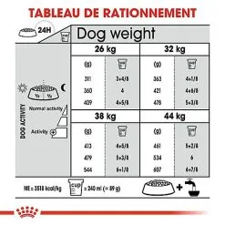 Royal Canin - Croquettes Maxi Joint Care Pour Chien - 10Kg -Nourriture pour chien Soldes 68093