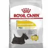 Royal Canin - Croquettes Mini Dermacomfort Pour Chien - 2Kg 2 Royal Canin - Croquettes Mini Dermacomfort Pour Chien - 2Kg -Nourriture pour chien Soldes 68095