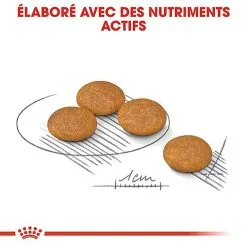 Royal Canin - Croquettes Mini Dermacomfort Pour Chien - 2Kg -Nourriture pour chien Soldes 68100