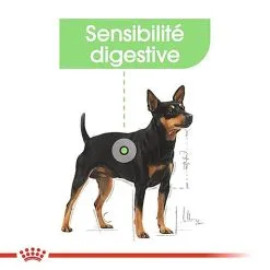 Royal Canin - Croquettes Mini Digestive Care Pour Chien - 3Kg -Nourriture pour chien Soldes 68122