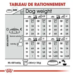 Royal Canin - Croquettes Mini Digestive Care Pour Chien - 3Kg -Nourriture pour chien Soldes 68126