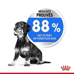 Royal Canin - Croquettes Mini Light Weight Care Pour Chien - 3Kg -Nourriture pour chien Soldes 68139