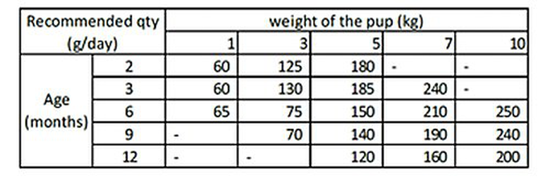 Nath - Croquettes Mini Puppy Au Poulet Pour Chiot - 7Kg 4 Nath - Croquettes Mini Puppy Au Poulet Pour Chiot - 7Kg – Image 2