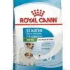 Royal Canin - Croquettes Mini Starter Mother & Babydog Pour Chiot - 4Kg -Nourriture pour chien Soldes 72498