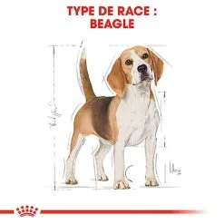 Royal Canin - Croquettes Beagle Adult Pour Chien - 12Kg 9 Royal Canin - Croquettes Beagle Adult Pour Chien - 12Kg -Nourriture pour chien Soldes 74322