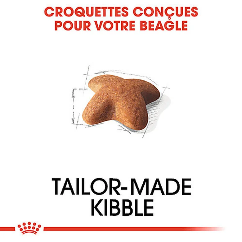 Royal Canin - Croquettes Beagle Adult Pour Chien - 12Kg 5 Royal Canin - Croquettes Beagle Adult Pour Chien - 12Kg – Image 3