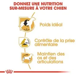 Royal Canin - Croquettes Beagle Adult Pour Chien - 12Kg 11 Royal Canin - Croquettes Beagle Adult Pour Chien - 12Kg -Nourriture pour chien Soldes 74325