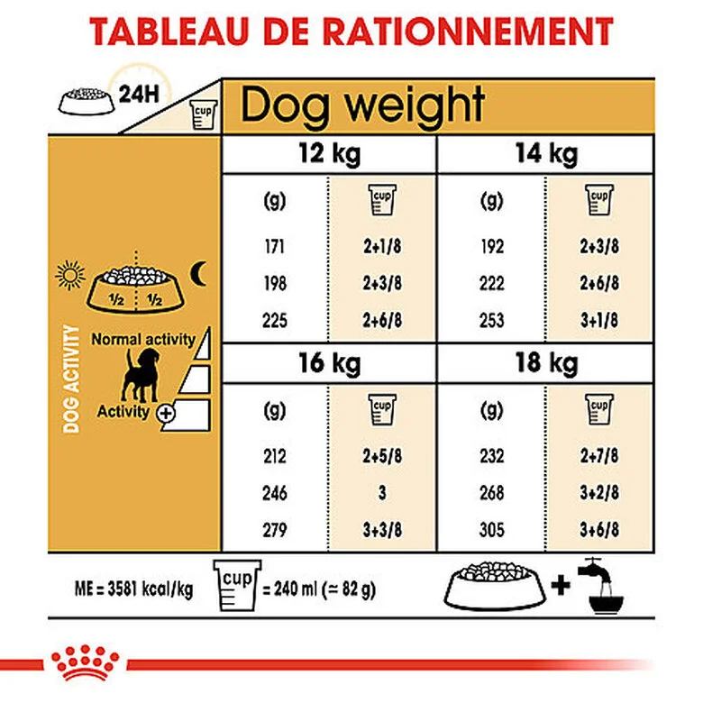 Royal Canin - Croquettes Beagle Adult Pour Chien - 12Kg 7 Royal Canin - Croquettes Beagle Adult Pour Chien - 12Kg – Image 5