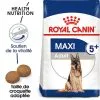 Royal Canin - Croquettes Maxi Adult 5+ Pour Grand Chien - 4Kg