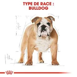 Royal Canin - Croquettes Bulldog Adult Pour Chiens - 3Kg -Nourriture pour chien Soldes 74365