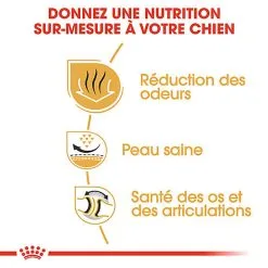 Royal Canin - Croquettes Bulldog Adult Pour Chiens - 3Kg -Nourriture pour chien Soldes 74368