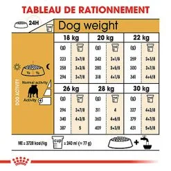 Royal Canin - Croquettes Bulldog Adult Pour Chiens - 3Kg -Nourriture pour chien Soldes 74369