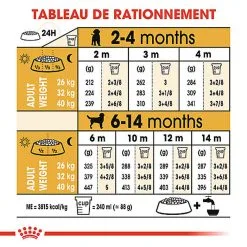 Royal Canin - Croquettes Puppy Labrador Retriever Pour Chiots - 3Kg 14 Royal Canin - Croquettes Puppy Labrador Retriever Pour Chiots - 3Kg -Nourriture pour chien Soldes 74386