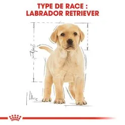 Royal Canin - Croquettes Puppy Labrador Retriever Pour Chiots - 3Kg 13 Royal Canin - Croquettes Puppy Labrador Retriever Pour Chiots - 3Kg -Nourriture pour chien Soldes 74387