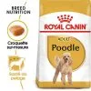 Royal Canin - Croquettes Poodle Adult Caniche Pour Chien - 1,5Kg
