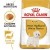 Royal Canin - Croquettes Westie Adult Pour Chiens - 1,5Kg 1 Royal Canin - Croquettes Westie Adult Pour Chiens - 1,5Kg -Nourriture pour chien Soldes 74393
