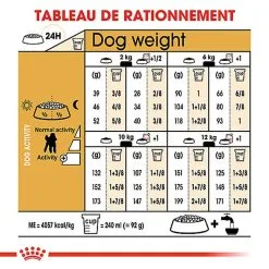Royal Canin - Croquettes Poodle Adult Caniche Pour Chien - 1,5Kg -Nourriture pour chien Soldes 74394