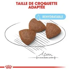 Royal Canin - Croquettes Starter Mother & Babydog Medium Pour Chiennes Et Chiots - 4KG -Nourriture pour chien Soldes 74402