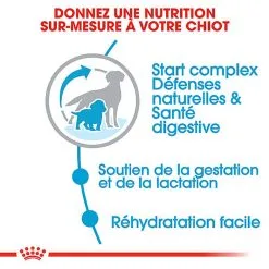 Royal Canin - Croquettes Starter Mother & Babydog Medium Pour Chiennes Et Chiots - 4KG -Nourriture pour chien Soldes 74403