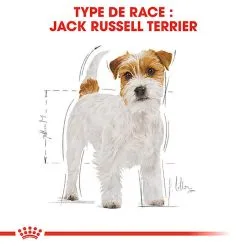 Royal Canin - Croquettes Jack Russell Adult Pour Chiens - 1,5Kg -Nourriture pour chien Soldes 74442