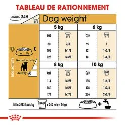 Royal Canin - Croquettes Jack Russell Adult Pour Chiens - 1,5Kg -Nourriture pour chien Soldes 74447