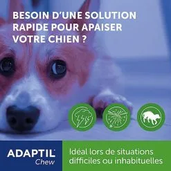 Adaptil - Bouchées Moelleuses D'Appaisement Adaptil Chew Pour Chiens - X30 9 Adaptil - Bouchées Moelleuses D'Appaisement Adaptil Chew Pour Chiens - X30 -Nourriture pour chien Soldes 75215