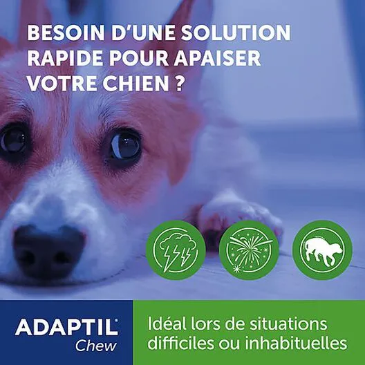 Adaptil - Bouchées Moelleuses D'Appaisement Adaptil Chew Pour Chiens - X30 5 Adaptil - Bouchées Moelleuses D'Appaisement Adaptil Chew Pour Chiens - X30 – Image 3