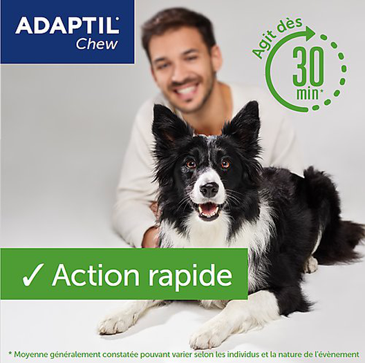 Adaptil - Bouchées Moelleuses D'Appaisement Adaptil Chew Pour Chiens - X30 6 Adaptil - Bouchées Moelleuses D'Appaisement Adaptil Chew Pour Chiens - X30 – Image 4