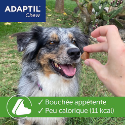 Adaptil - Bouchées Moelleuses D'Appaisement Adaptil Chew Pour Chiens - X30 11 Adaptil - Bouchées Moelleuses D'Appaisement Adaptil Chew Pour Chiens - X30 -Nourriture pour chien Soldes 75217