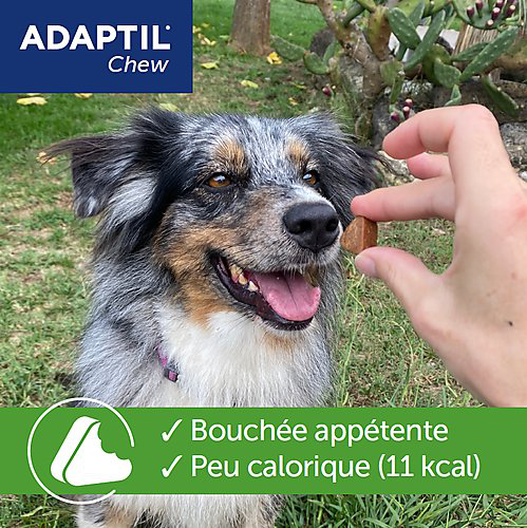 Adaptil - Bouchées Moelleuses D'Appaisement Adaptil Chew Pour Chiens - X30 7 Adaptil - Bouchées Moelleuses D'Appaisement Adaptil Chew Pour Chiens - X30 – Image 5