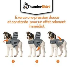 Thundershirt - Gilet Relaxant Bien Etre Pour Chiens - XS 7 Thundershirt - Gilet Relaxant Bien Etre Pour Chiens - XS -Nourriture pour chien Soldes 76174
