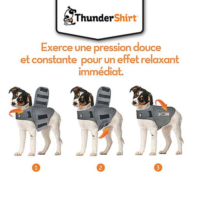 Thundershirt - Gilet Relaxant Bien Etre Pour Chiens - XS 5 Thundershirt - Gilet Relaxant Bien Etre Pour Chiens - XS – Image 3